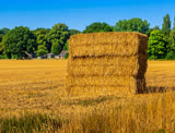 Hay Bale